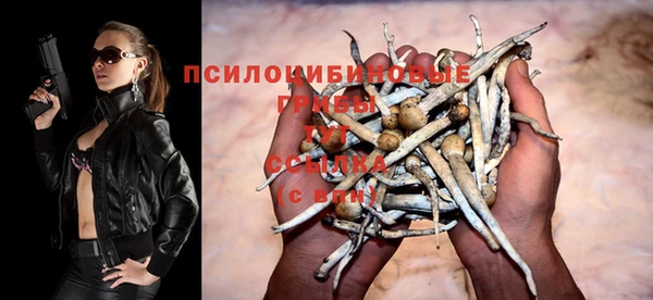 бутират Алексин