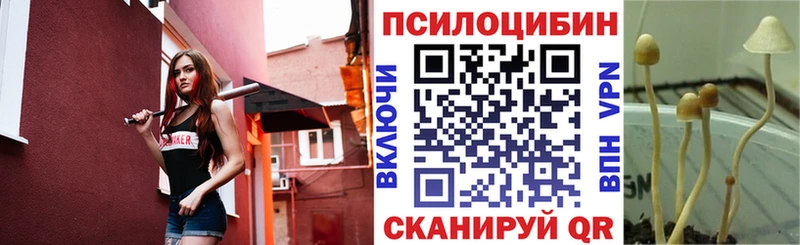 Галлюциногенные грибы мухоморы  Купить где  Гусиноозёрск 