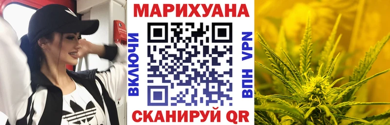 Купить где  Гусиноозёрск  Бошки Шишки семена 